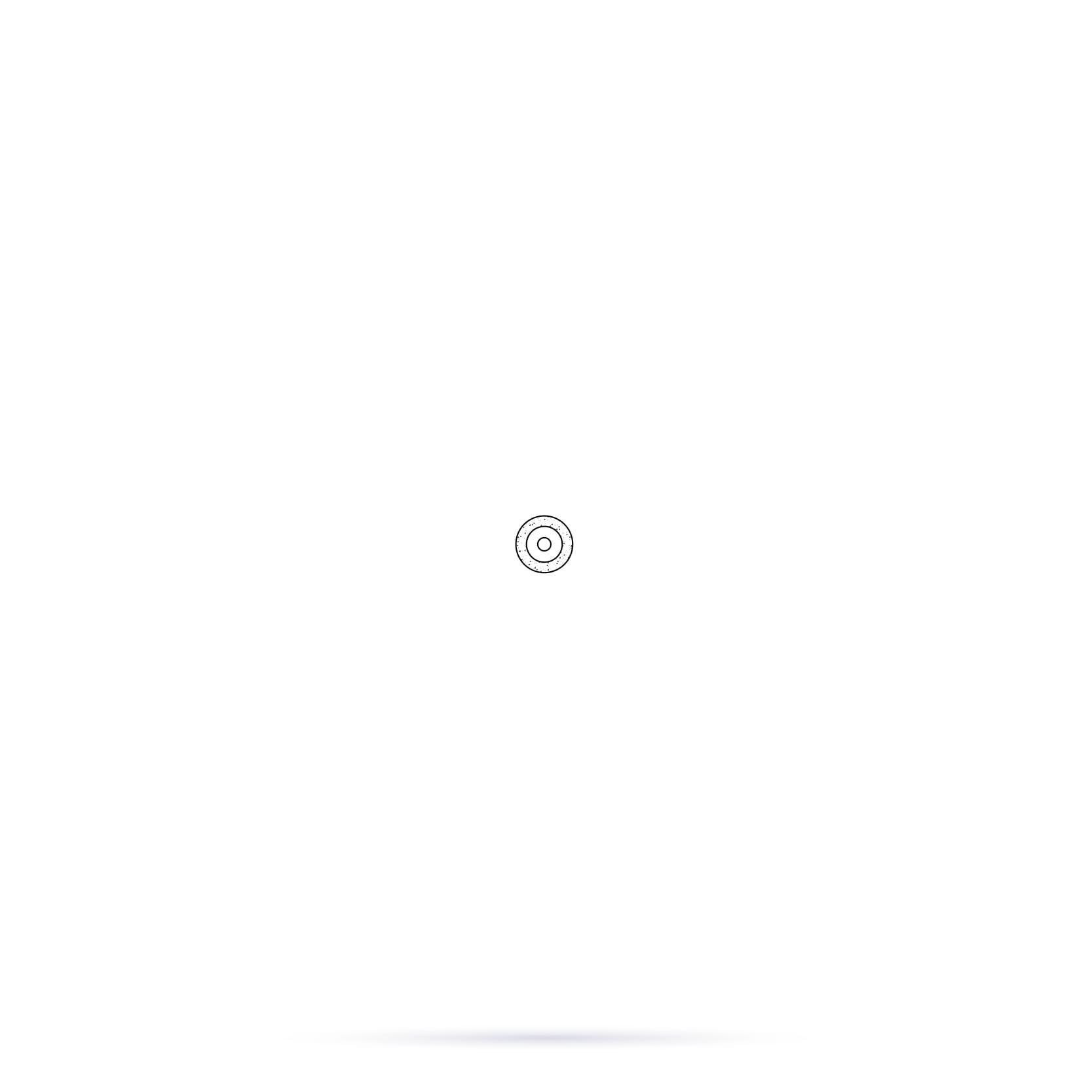 8943.104.065x001 Disc, very thin, rim-cutting, up-side