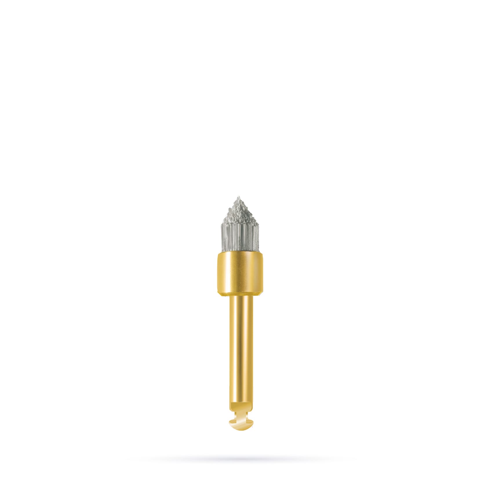 SD202.204.050x012 Flame