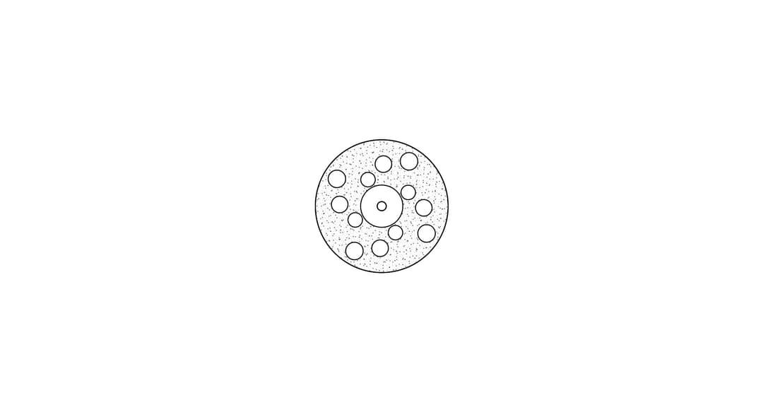 Disc, perforated